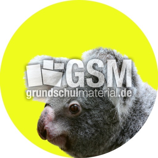 Koala-Gruppenkarte_3.jpg